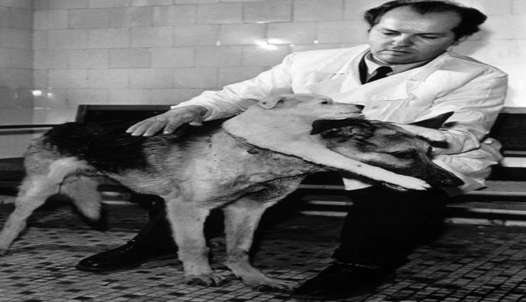 two headed dog,scientist,scientist invention,weird invention