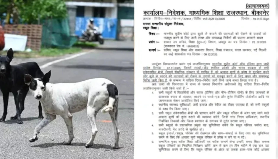 'अब मास्टर जी भी आवारा कुत्तों को भगाएंगे', राजस्थान शिक्षा विभाग का नया आदेश सुन शिक्षक हुए हैरान