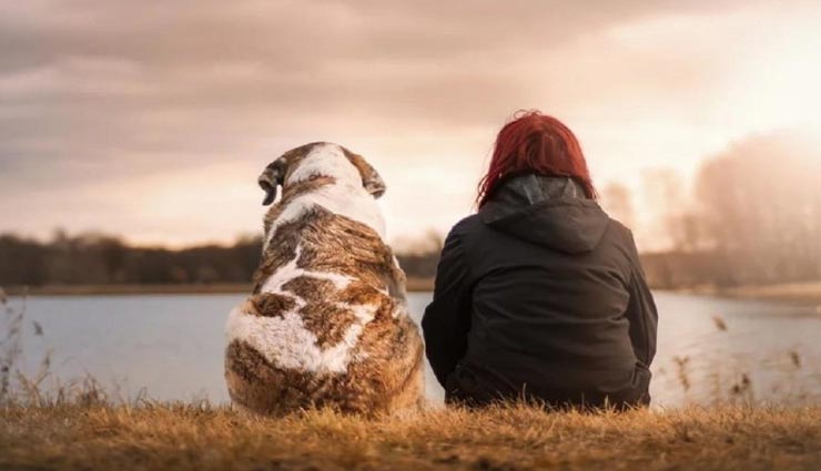 weird news,interesting facts,amazing facts