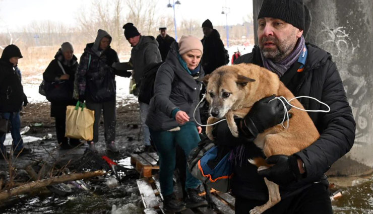 Russia Ukraine war: युद्ध ने इंसान ही नहीं बेजुबान जानवरों को भी नहीं बख्शा, 355 कुत्तों की मौत