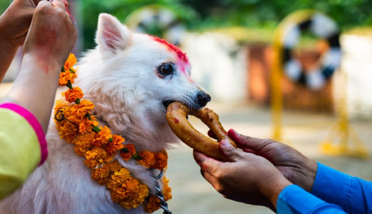 Diwali 2021 : इस देश में दिवाली के दिन भगवान नहीं बल्कि होती हैं कुत्तों की पूजा!