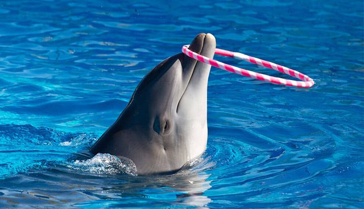 best places to visit in agra,top tourist spots in agra,must-visit places in agra uttar pradesh,agra tourist attractions,historical monuments in agra,places to visit near taj mahal,famous mughal architecture in agra,agra fort sound and light show,fatehpur sikri attractions,best mughlai restaurants in agra