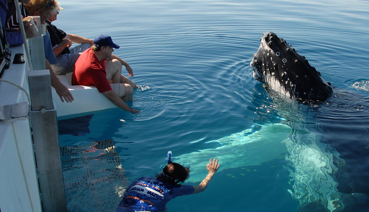 things to do in mauritius,mauritius attractions,must-visit places in mauritius,mauritius travel experiences,top activities in mauritius,exploring mauritius,tourist hotspots in mauritius,mauritius adventure and culture,best sightseeing spots in mauritius,mauritius travel guide