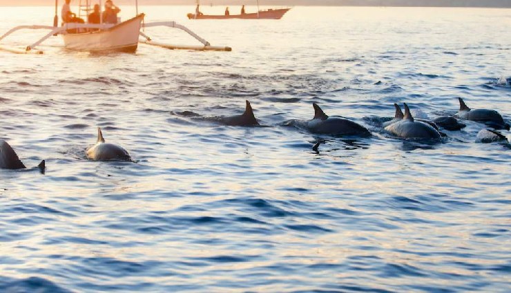 romantic things to do in bali,bali honeymoon activities,bali romantic getaway,couples activities in bali,honeymoon in bali,bali nature walks,bali sunset spots,bali dining experiences,bali adventure activities,bali dolphin watching,bali sunset cruise,bali romantic strolls,bali hot tubs,bali marigold fields