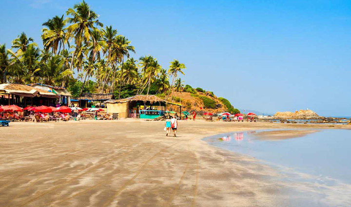 dolphin is the national aquatic animal of india see them closely in these parts of the country,holiday,travel,tourism