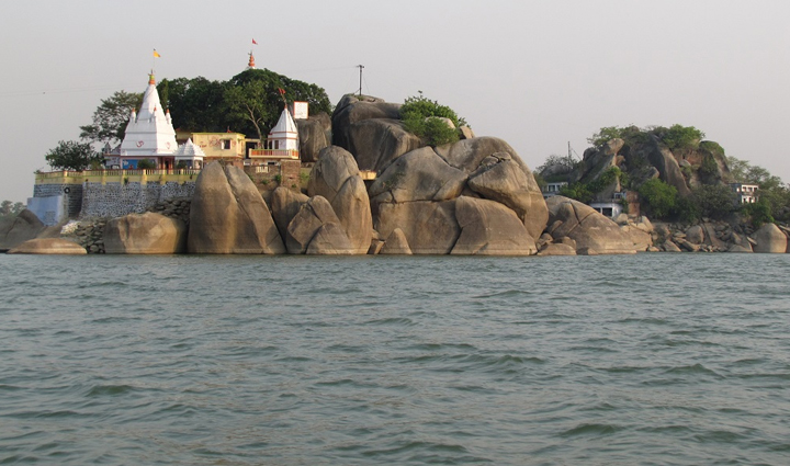 places where you can spot dolphins,dolphins,holiday,travel,tourism