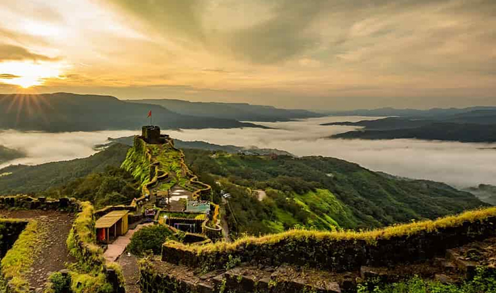 dolphin is the national aquatic animal of india see them closely in these parts of the country,holiday,travel,tourism