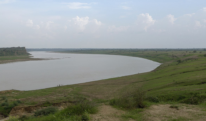 places where you can spot dolphins,dolphins,holiday,travel,tourism