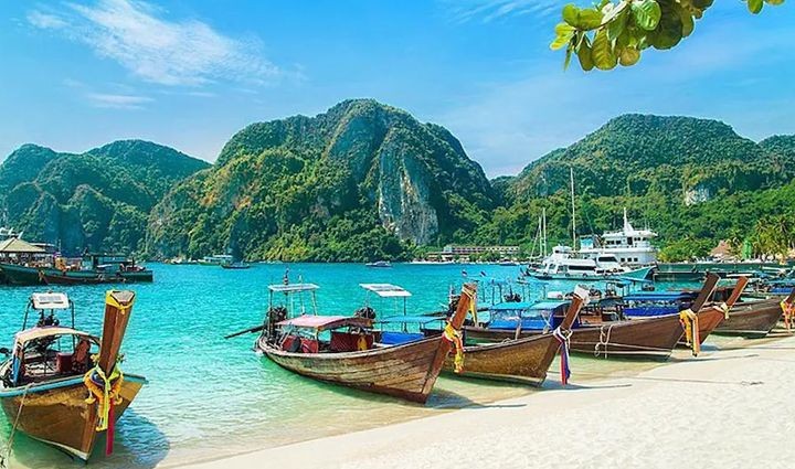 dolphin is the national aquatic animal of india see them closely in these parts of the country,holiday,travel,tourism