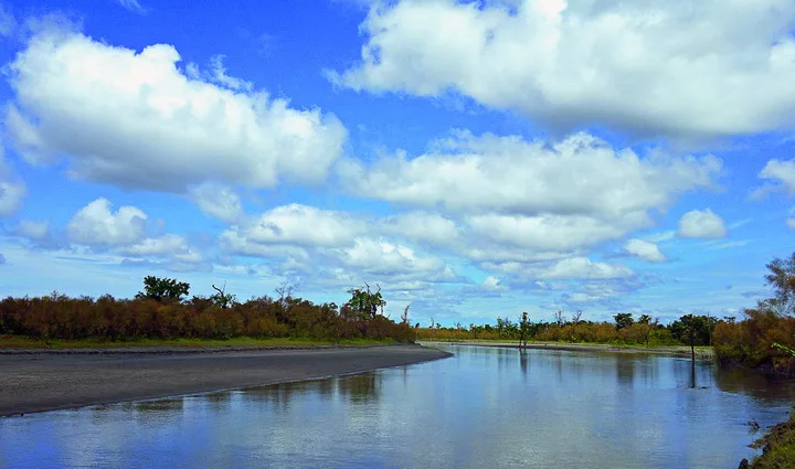 places where you can spot dolphins,dolphins,holiday,travel,tourism