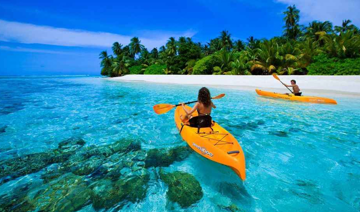 dolphin is the national aquatic animal of india see them closely in these parts of the country,holiday,travel,tourism