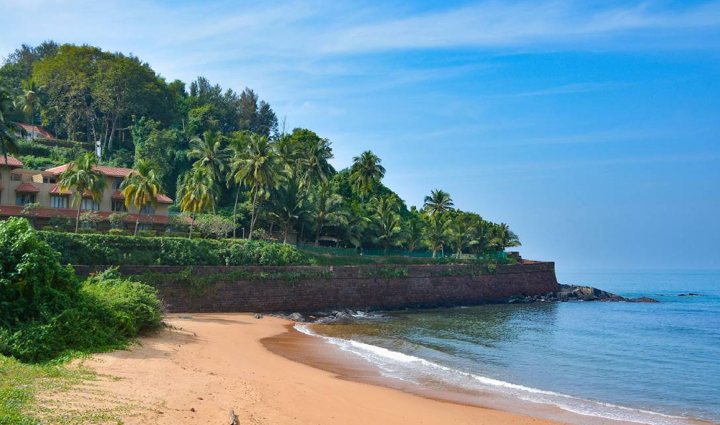 places where you can spot dolphins,dolphins,holiday,travel,tourism