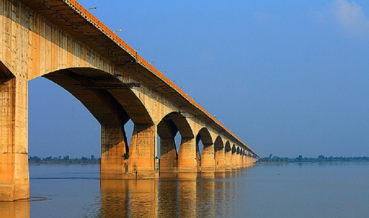 dolphin is the national aquatic animal of india see them closely in these parts of the country,holiday,travel,tourism