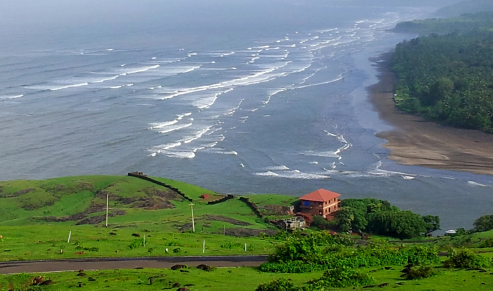 places where you can spot dolphins,dolphins,holiday,travel,tourism