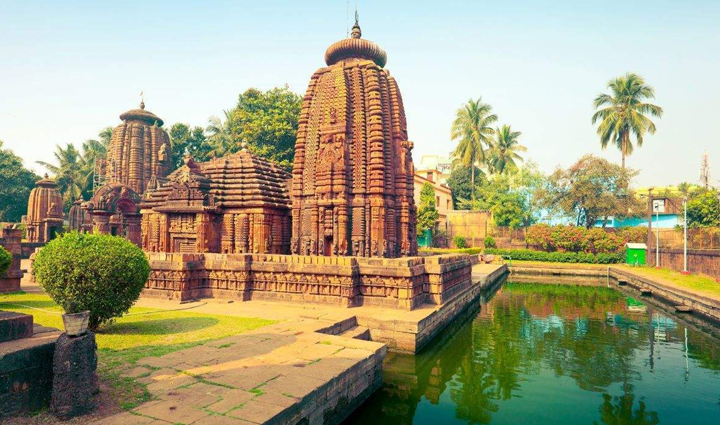 dolphin is the national aquatic animal of india see them closely in these parts of the country,holiday,travel,tourism