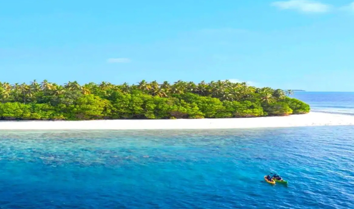 places where you can spot dolphins,dolphins,holiday,travel,tourism