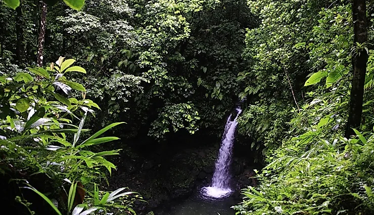 dominica,places to visit in dominica,tourist attractions in dominica,morne trois pitons national park,boiling lake,victoria falls,victoria falls,dominica beaches,cabrits national park,roseau