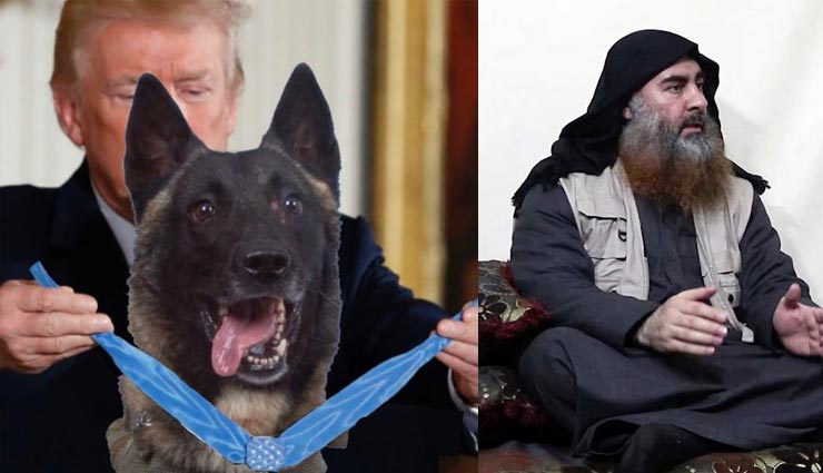 बगदादी को जहन्नुम पहुंचाने वाले असली हीरो को ट्रंप ने दिया ये खास तोहफा