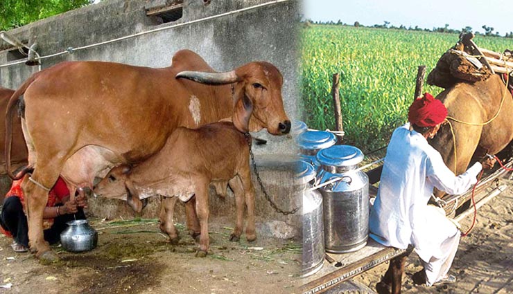 amazing villages,travel,india,india tours,indian villages