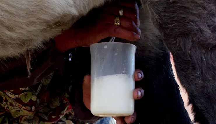 donkey milk pancakes recipe,fluffy donkey milk pancakes,nutritious breakfast with donkey milk pancakes,delicious donkey milk pancakes,unique taste of donkey milk pancakes,easy donkey milk pancakes recipe,nourishing donkey milk pancakes,breakfast delight: donkey milk pancakes,donkey milk pancakes for lactose intolerance,fluffy pancakes with donkey milk