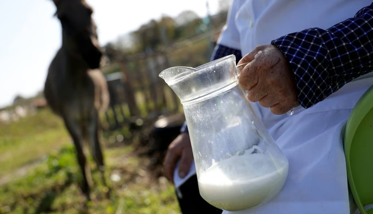 donkey milk benefits for skin,donkey milk skincare,beauty benefits of donkey milk,donkey milk soap benefits,anti-aging properties of donkey milk,donkey milk for acne,natural skin hydration,donkey milk face mask,donkey milk for glowing skin,donkey milk for wrinkles,donkey milk in cosmetics,donkey milk for sensitive skin,skin brightening with donkey milk,donkey milk for eczema,donkey milk moisturizer