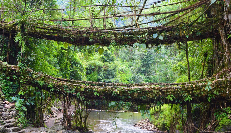 cherrapunji tourism,natural wonders of cherrapunji,adventure activities in cherrapunji,living root bridges in cherrapunji,nohkalikai falls in cherrapunji,mawsmai cave in cherrapunji,dainthlen falls in cherrapunji,thangkharang park in cherrapunji,mawkdok dympep valley in cherrapunji,eco park in cherrapunji,seven sisters falls in cherrapunji,meghalaya tourism destinations,northeast india tourism spots,best places to visit in cherrapunji,top tourist attractions in cherrapunji