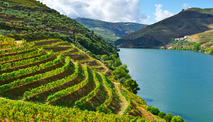 portugal,visit portugal,must-visit places,portuguese culture,portuguese cuisine,lisbon,porto,sintra,algarve,douro valley,Évora,coimbra,azores,tourism in portugal,european travel,cultural heritage,historical landmarks,coastal beauty,natural landscapes,unesco world heritage sites,european destinations,travel experiences,exploration,adventure,sightseeing,landmarks,vacation spots,coastal attractions,scenic beauty,cultural diversity,architecture,local traditions,gastronomy,wine tourism,vineyards,outdoor activities,nature walks,hiking trails,island hopping,sustainable tourism