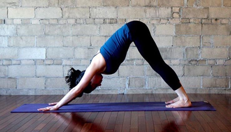 top 5 yoga poses,yoga for beginners,yoga poses,health tips for men,health tips for women,mountain pose,downward facing dog,plank,tree,seated forward bend