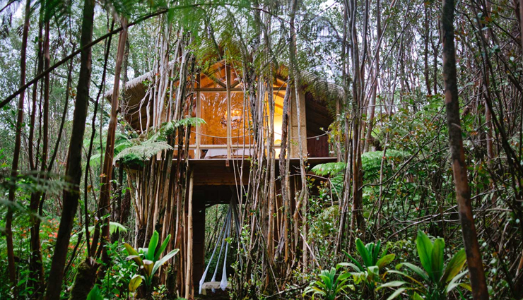treehouses,10 breathtaking treehouses,breathtaking treehouses,unique tree cabins,travel,holidays,travel guid