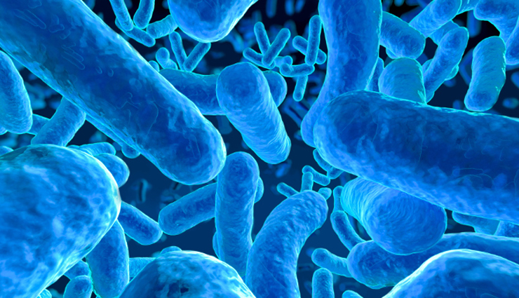 health benefits of dried figs,dried figs,Health tips,fitness tips