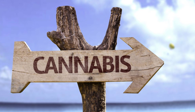 5 Drug Tourism Destinations To Visit Around the World