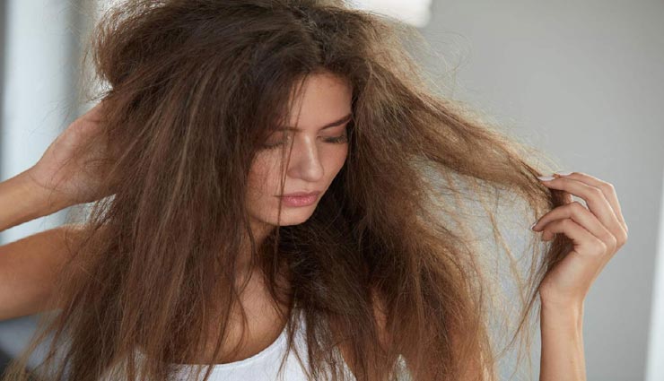 beauty tips,beauty tips in hindi,hair care tips,hair oil tips