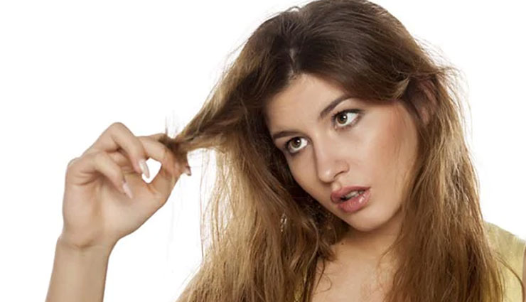 dry hair,home remedies for dry hair,hair care tips,beauty tips,hair remedies,ways to treat dry hair