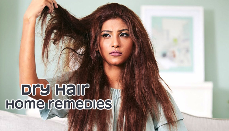 Dry Hair Ends Causes and How to Treat  Be Beautiful India