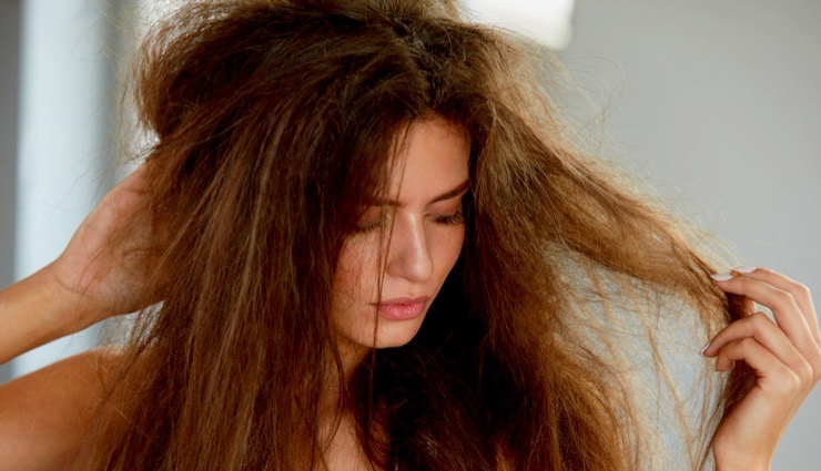 jackfruit beauty benefits,jackfruit beauty tips,jackfruit seed beauty benefits,jackfruit seed for beauty,jackfruit uses in beauty,jackfruit benefits for beauty,beauty,beauty tips