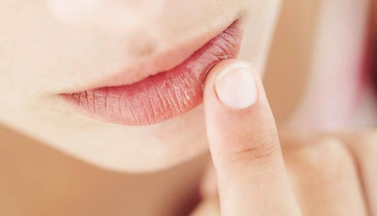 homemade tips,homemade tips to treat dry lips,dry lips,lip care tips,beauty tips,skin care tips