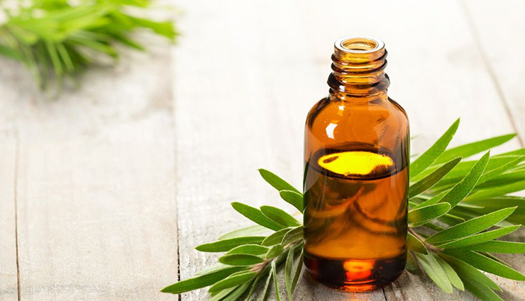 home remedies to treat dry scalp,dry scalp remedies,beauty tips,hair care tips