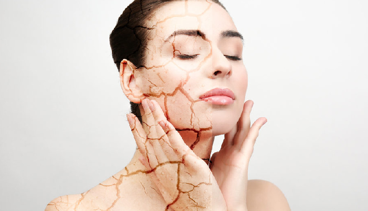 diy camphor oil skin care,use camphor oil for acne,camphor oil skin brightening,camphor oil for dry skin,camphor oil for skin irritation,anti-aging camphor oil,natural skin remedies