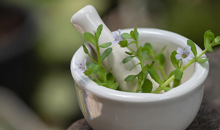 must try herbs to treat dry skin,beauty tips,beauty hacks