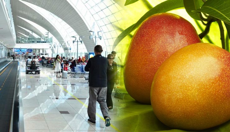 दुबई एअरपोर्ट पर ऐसा करना भारी पड़ा एक भारतीय को, 2 आम के लिए चुकाने पड़े 96000 रुपये