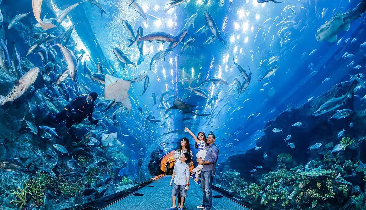 places to visit in dubai,best tourist attractions in dubai,burj khalifa visit,dubai aquarium & underwater zoo,dubai mall shopping,dubai desert safari,dubai frame tickets,ski dubai activities,dubai gold souks shopping,dubai fountain show,img worlds of adventure,xline dubai zipline