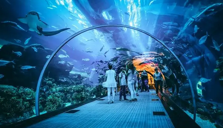 20 places to visit in dubai,top attractions in dubai,best places to see in dubai,dubai tourist spots,dubai must-visit places,dubai mall attractions,burj khalifa visit,dubai aquarium,burj al arab luxury,jumeirah beach activities,ferrari world dubai,dubai ice rink,jumeirah mosque tour,dubai miracle garden,sheikh saeed al maktoum house,deira souks shopping,palm islands dubai,wild wadi water park dubai,al bastakia dubai,etihad museum dubai,dubai garden glow,dubai creek experience,img worlds of adventure,motiongate dubai