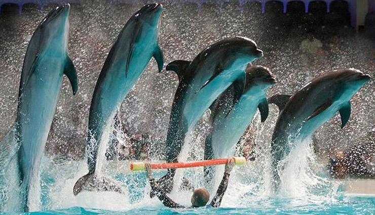 20 places to visit in dubai,top attractions in dubai,best places to see in dubai,dubai tourist spots,dubai must-visit places,dubai mall attractions,burj khalifa visit,dubai aquarium,burj al arab luxury,jumeirah beach activities,ferrari world dubai,dubai ice rink,jumeirah mosque tour,dubai miracle garden,sheikh saeed al maktoum house,deira souks shopping,palm islands dubai,wild wadi water park dubai,al bastakia dubai,etihad museum dubai,dubai garden glow,dubai creek experience,img worlds of adventure,motiongate dubai