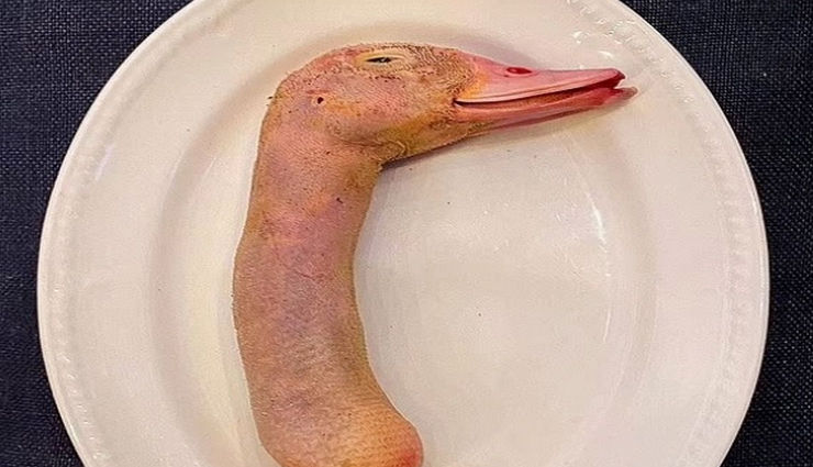 यहां के रेस्टोरेंट ने डिश के नाम पर सर्व कर दिया बत्तख का कटा हुआ सिर, सभी के उड़े होश!