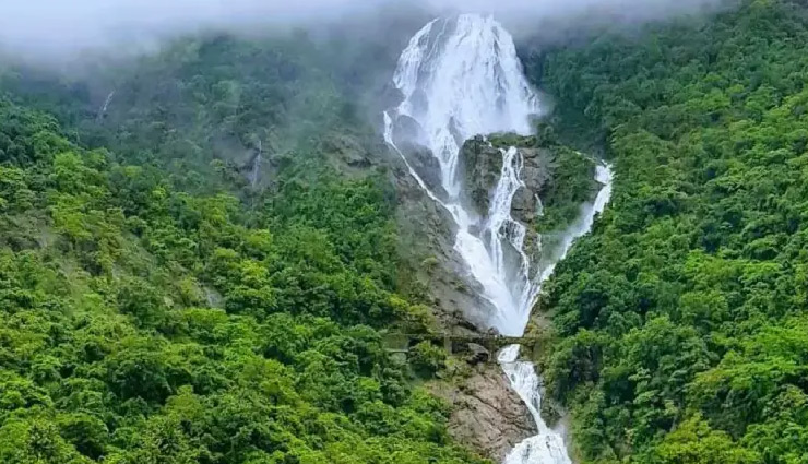 famous waterfalls in south india,south india waterfall guide,best waterfalls in south india,jog falls karnataka,athirappilly falls kerala,courtallam falls tamil nadu,hogenakkal falls tamil nadu,dudhsagar falls goa karnataka,abbey falls coorg,top waterfalls to visit in south india,trekking waterfalls south india,monsoon waterfalls in south india,shivanasamudra falls karnataka,meenmutty falls kerala,soochipara falls wayanad