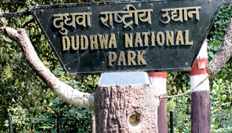 वाइल्डलाइफ फोटोग्राफर्स के लिए किसी जन्नत से कम नहीं है भारत की ये 10 जगहें, विदेशों से भी आते है लोग wildlife photography in india,best places for wildlife photography,wildlife photography destinations in india,top wildlife photography spots in india,wildlife photography tips,indian wildlife photography hotspots,wildlife sanctuaries in india,national parks for photography in india,wildlife photography tours in india,indian wildlife photography guide,best locations for wildlife photography in india,wildlife photography in western ghats,tiger photography in india,bird photography in india