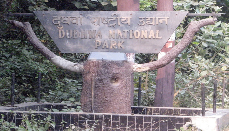 weird news,weird incident,dudhwa tiger reserve,rare species of orchid flowers