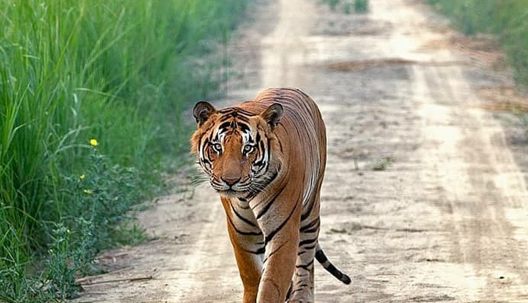 not to miss places in uttar pradesh,holidays,travel,tourim