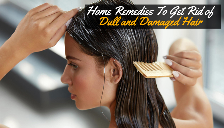 Easy Home Remedies To Treat Dull and Damaged Hair 