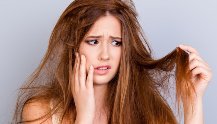 बालों के लिए वरदान हैं रीठा, जानें इससे मिलने वाले फायदे और इस्तेमाल का तरीका reetha benefits for hair,how to use reetha for hair care,reetha hair wash benefits,reetha powder for hair growth,reetha shampoo preparation at home,diy reetha hair treatment,reetha for dandruff control,reetha vs. chemical shampoos,natural hair care tips for healthy hair,organic hair care solutions,natural ingredients for hair health,homemade hair care recipes,natural remedies for hair problems,eco-friendly hair care routines,natural hair care routine for shiny hair,how to improve hair health naturally,tips for strong and healthy hair,reetha and natural hair care benefits,ayurvedic and herbal hair care tips,healthy hair practices with natural products,scalp and hair health with reetha,traditional methods for hair care